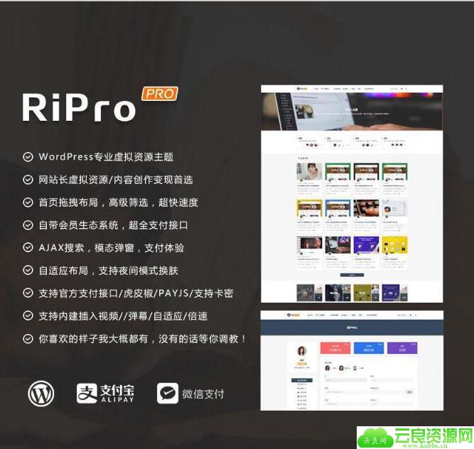 WP+RiPro主题破解版