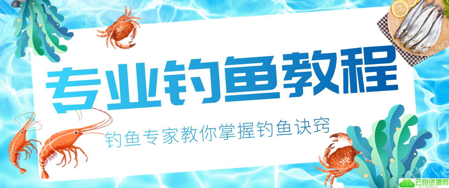 钓鱼视频技巧教程实战大全